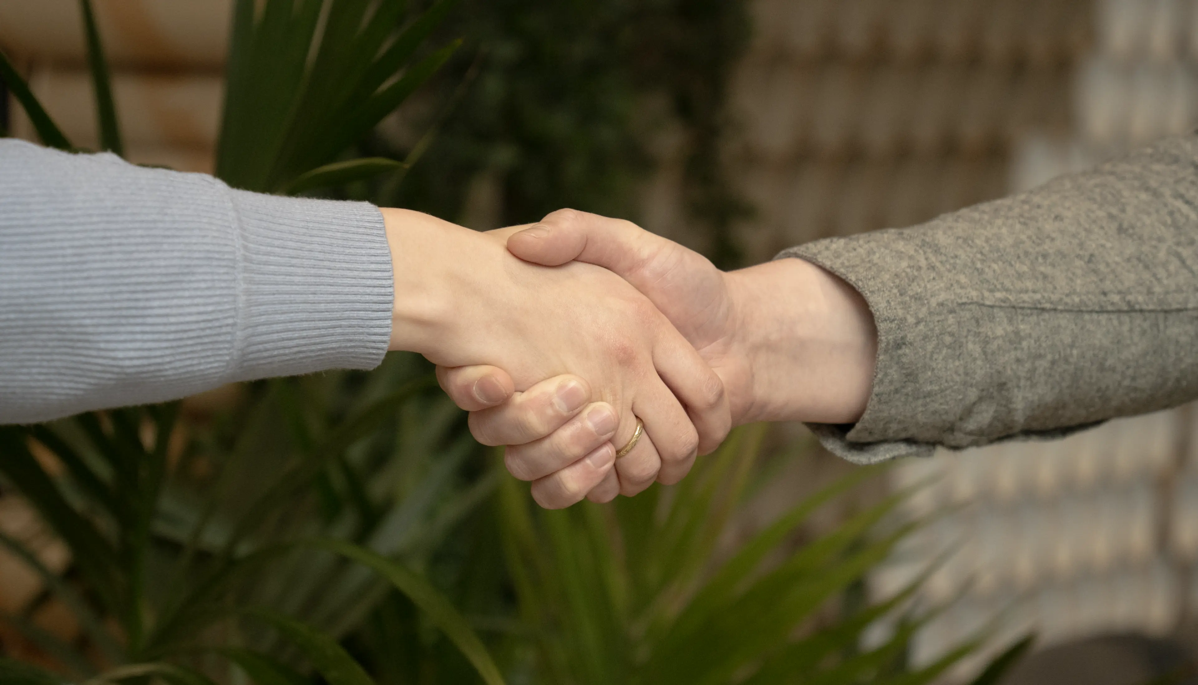 Close-up of a woman's hand and a man's hand shaking. The woman wears a ring, and there are green plants in the blurred background.