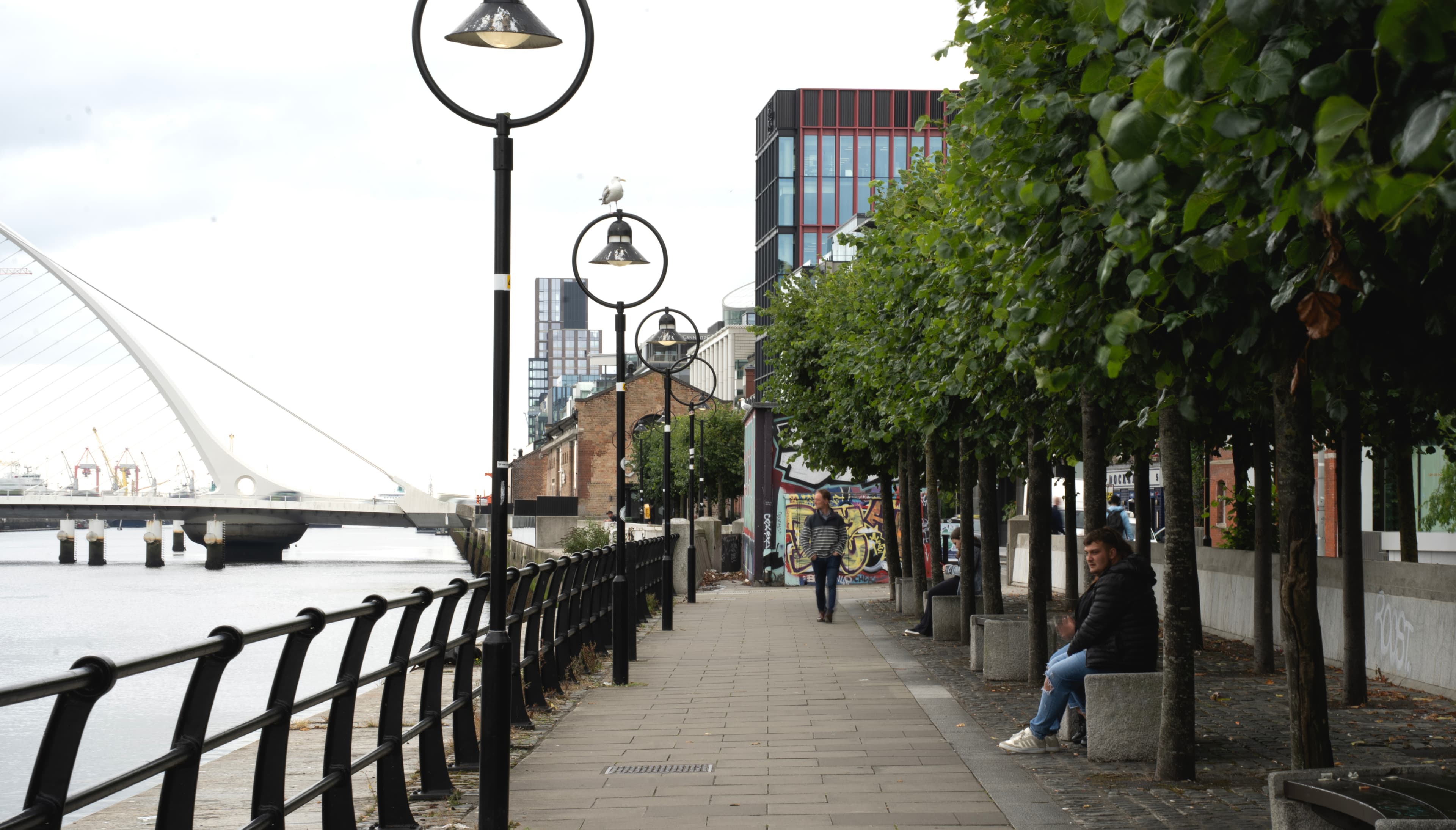 Riverside walkway with trees, street lamps and a modern bridge.