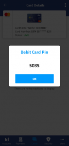 Debit Card Pin Reminder 3 1